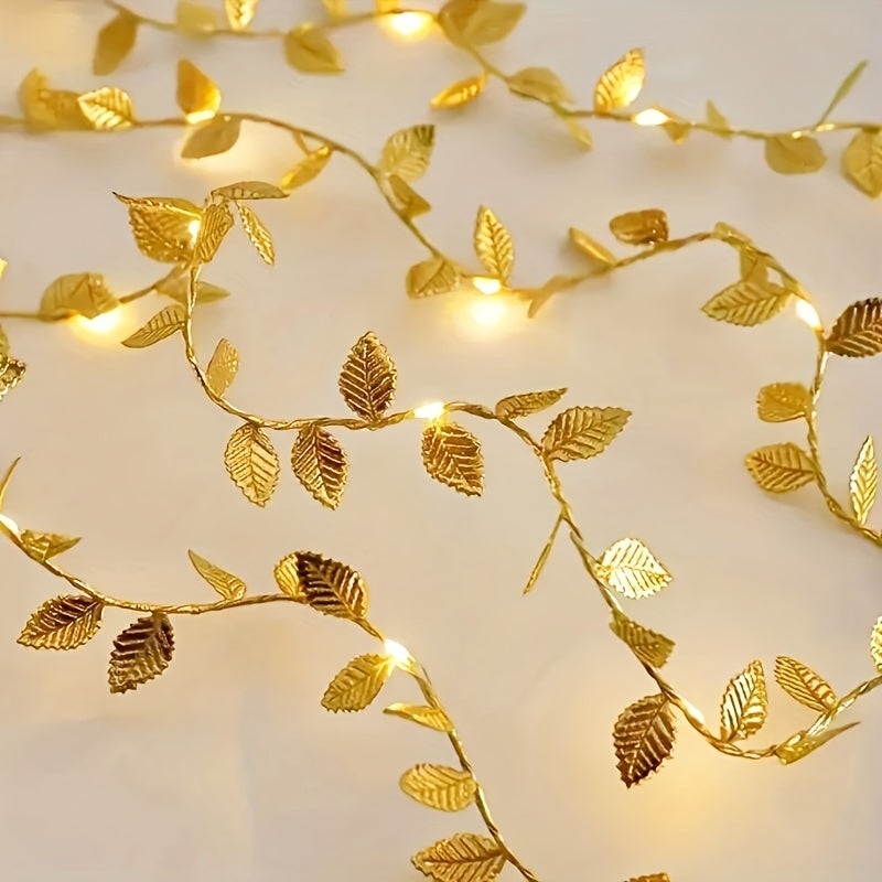 description_selected4