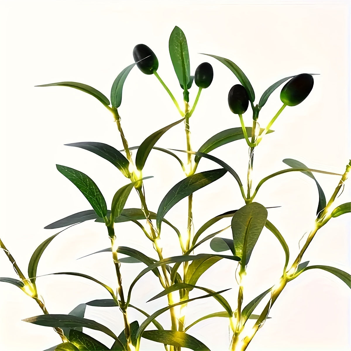 description_selected4