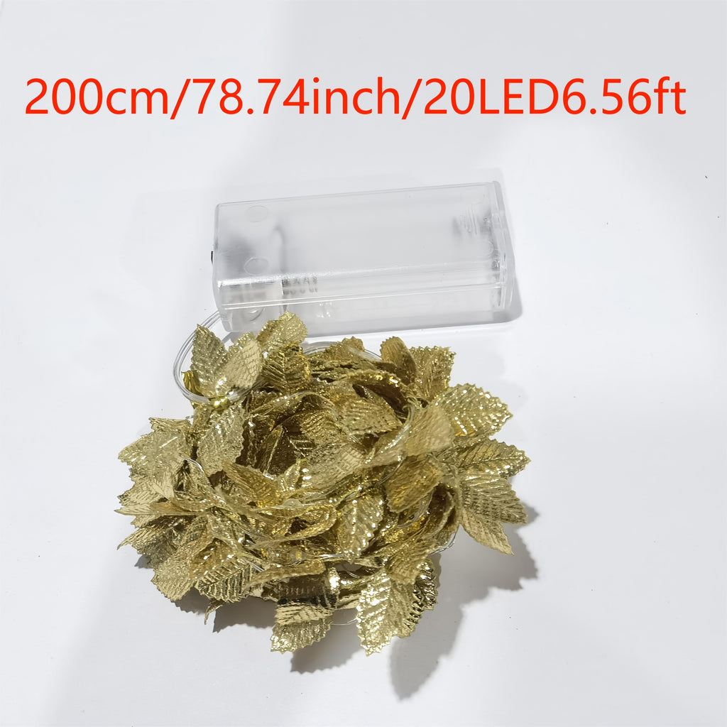 description_selected2