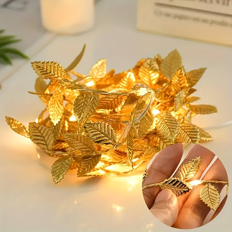 description_selected3