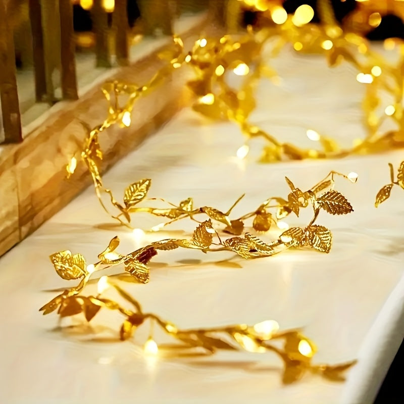 description_selected1